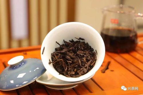 再給一次機會，茶葉店升級之道 倉儲服務轉型策略